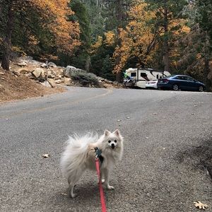 Meet your Posher, YJ